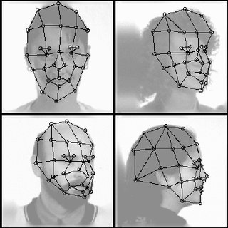 Face Recognition By Elastic Bunch Graph Matching Pdf